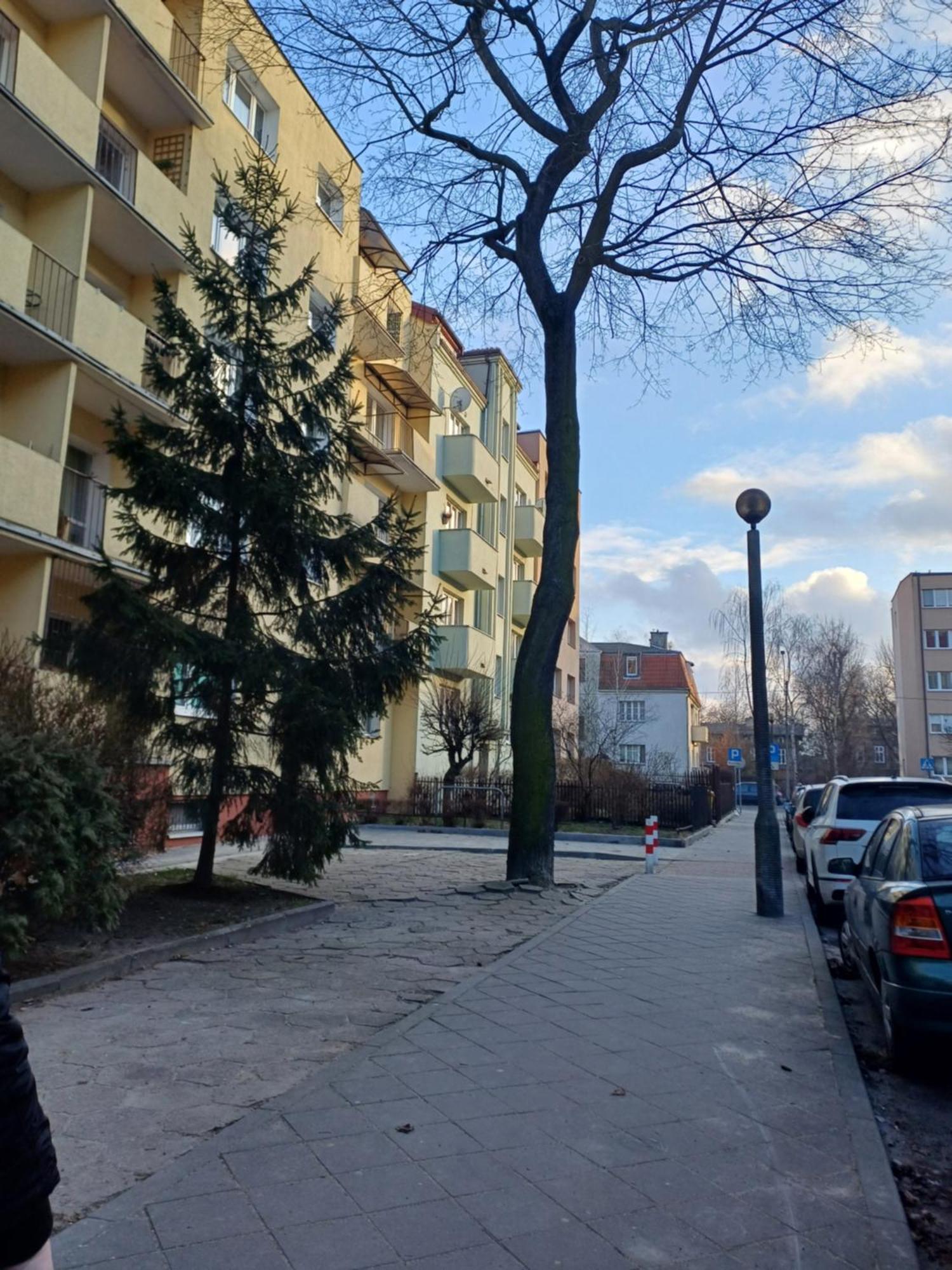 Apartament Reymonta *